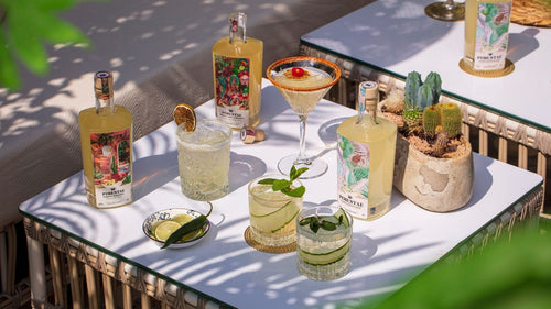 making the perfect margarita with Pimentae