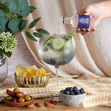 the ultimate Gin lovers handbook