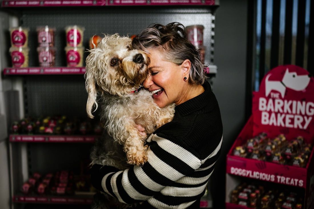 what to gift your four-legged friend this Christmas?