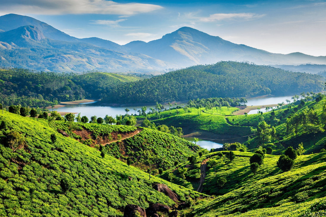how can businesses work more sustainably?