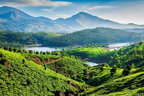 how can businesses work more sustainably?