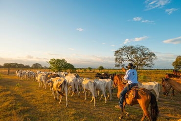 environmentally responsible gifting