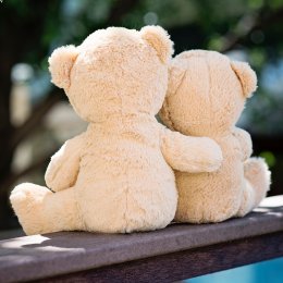 Two teddies hugging in a thank you gesture