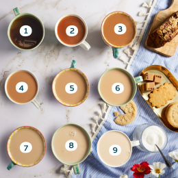 The Great Tea Debates: Temperature, Time and Traditions