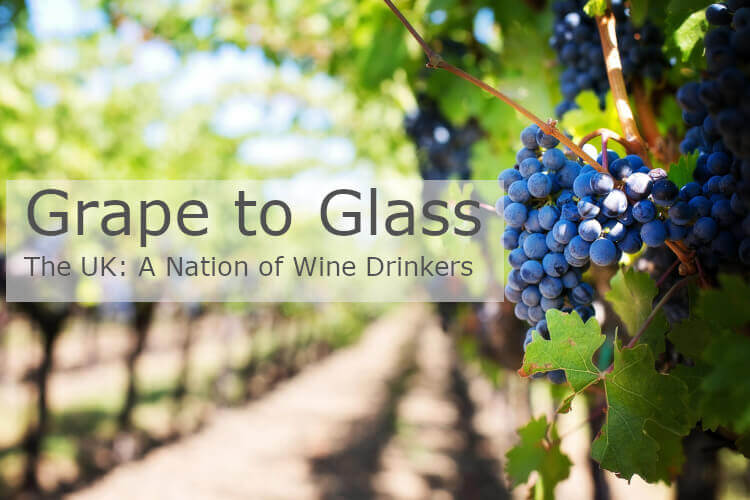grape to glass