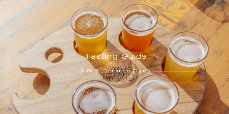Tasting guide- beer drinkers guide