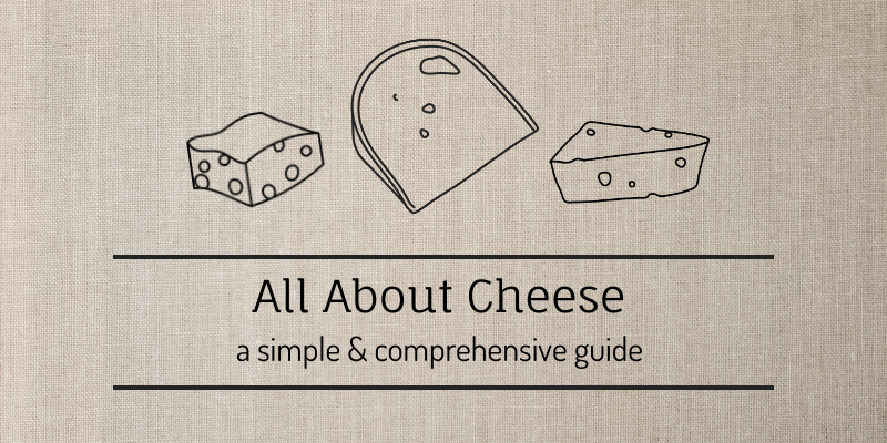 All About Cheese banner image