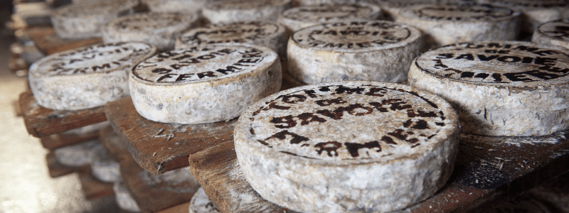 aged cheese