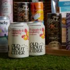 Pink Moon Electric Picnic Festival Hamper for Four