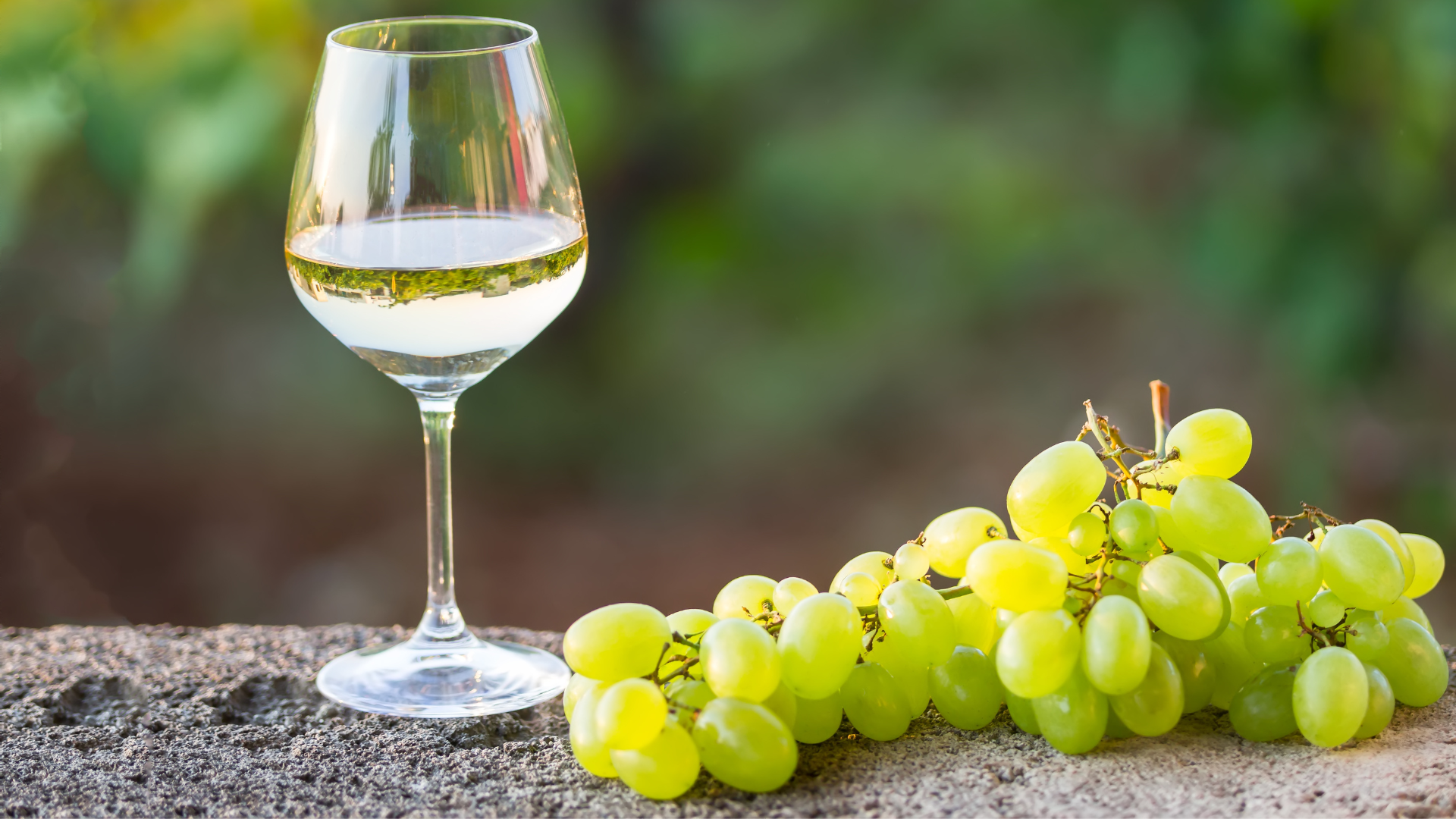 Glass of white wine next to a bunch a white grapes